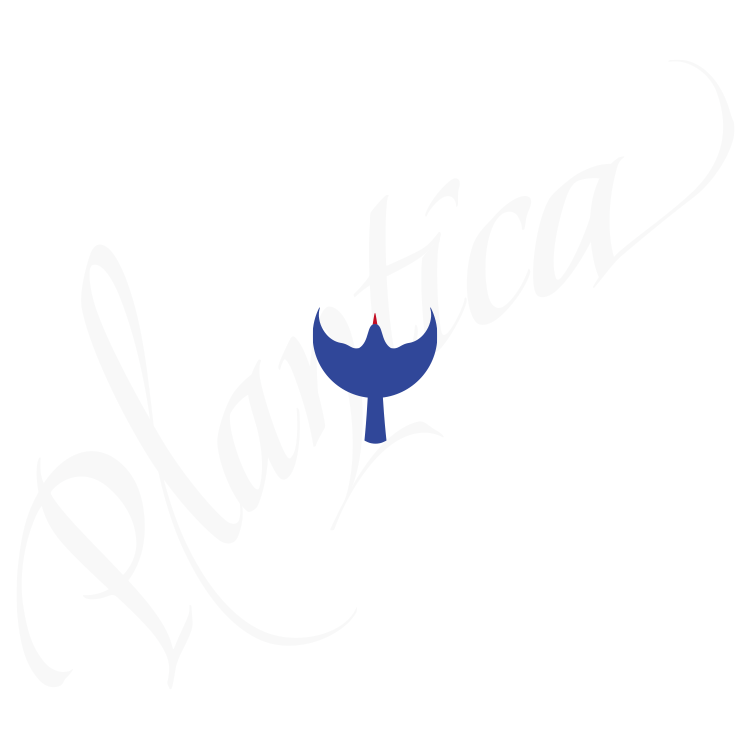 bluebird