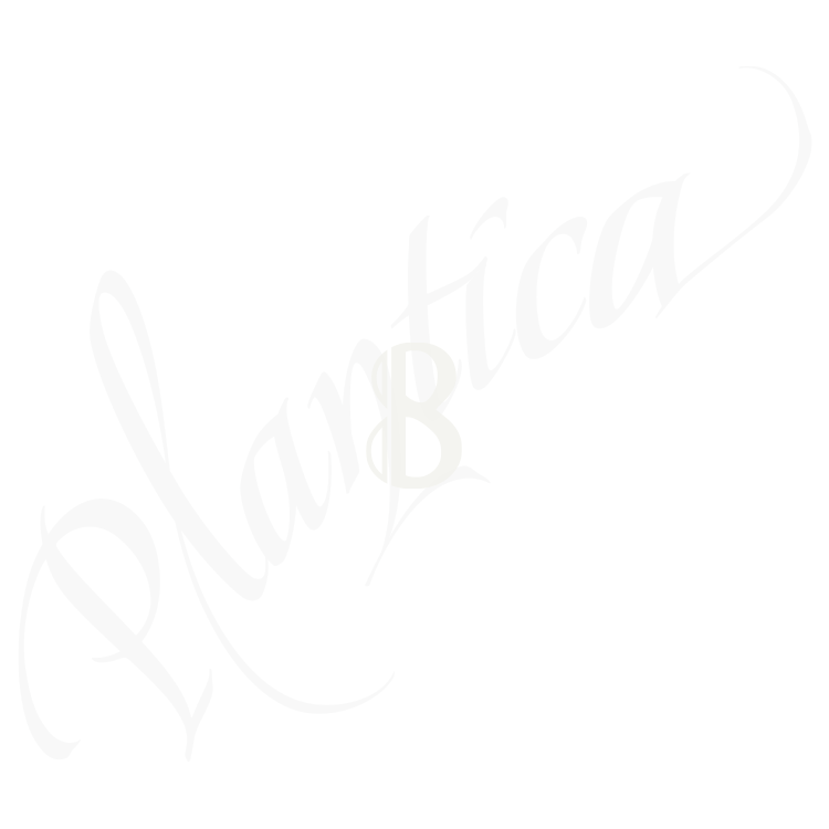 B*8
