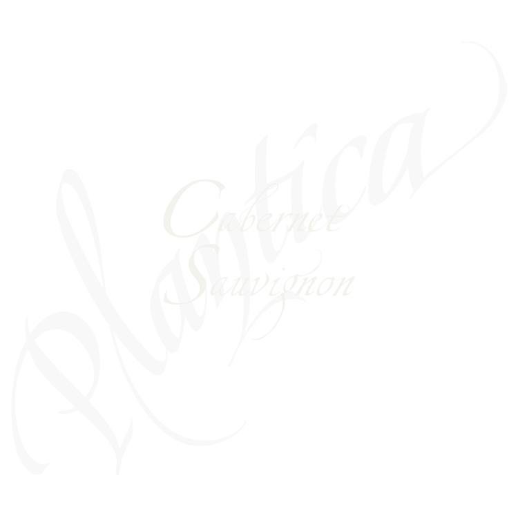 Cabernet Sauvignon