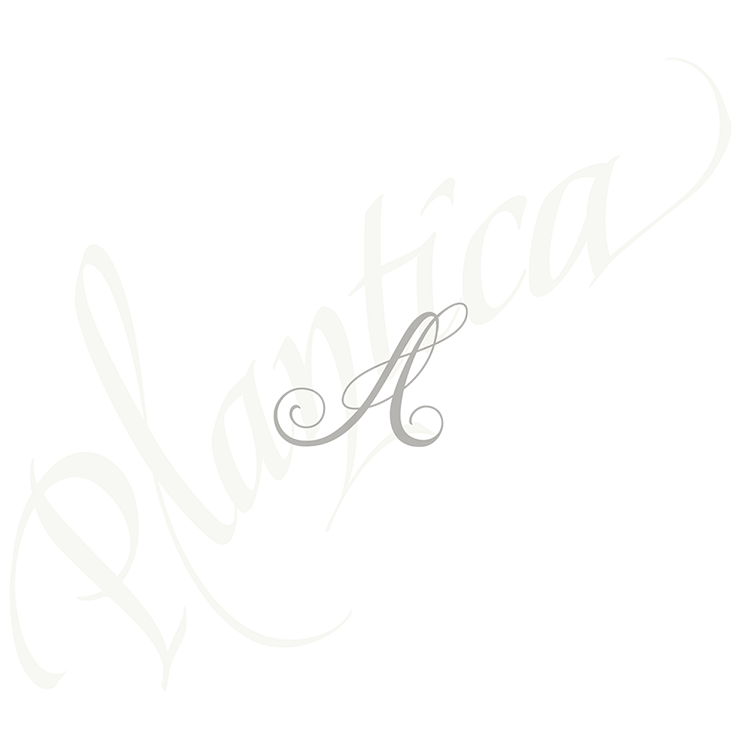 script