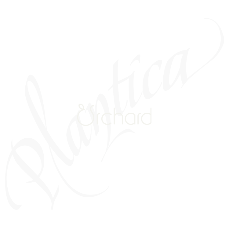 Orchard